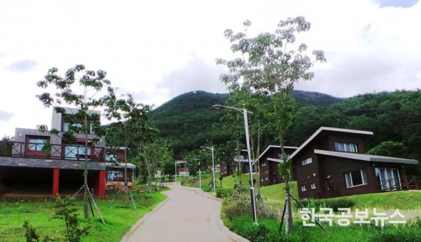 기사이미지 https://kpnnews.edge.naverncp.com/202312220255001703181300543