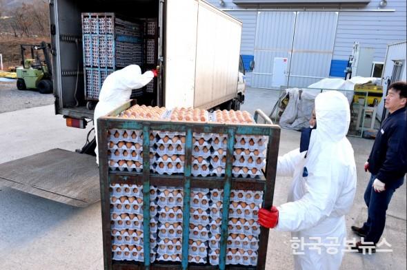 기사이미지 https://kpnnews.edge.naverncp.com/202401101155301704898530953