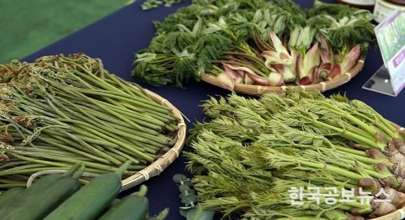 기사이미지 https://kpnnews.edge.naverncp.com/202401190308001705644480943