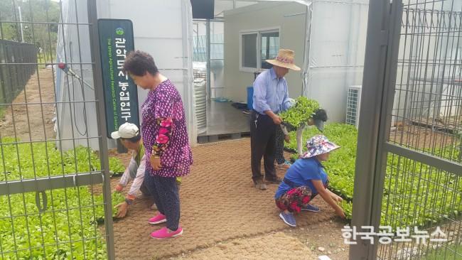 기사 사진