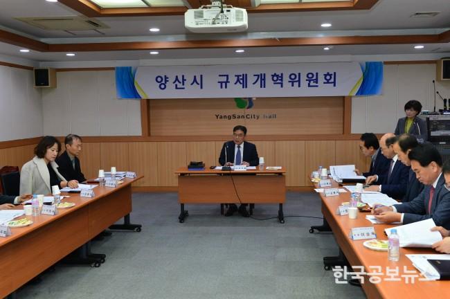 기사이미지 https://kpnnews.edge.naverncp.com/202402070809001707260940425