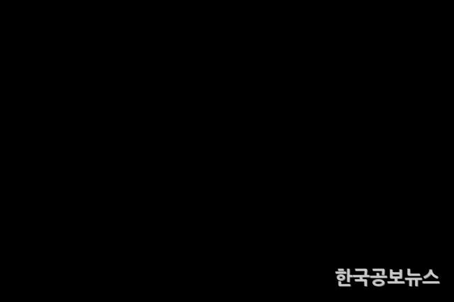 기사이미지 https://kpnnews.edge.naverncp.com/202403230500001711180800327