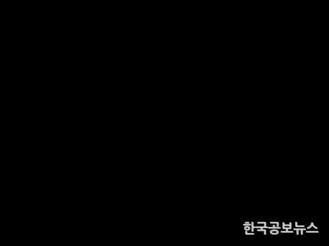 기사이미지 https://kpnnews.edge.naverncp.com/202403251201001711292460368