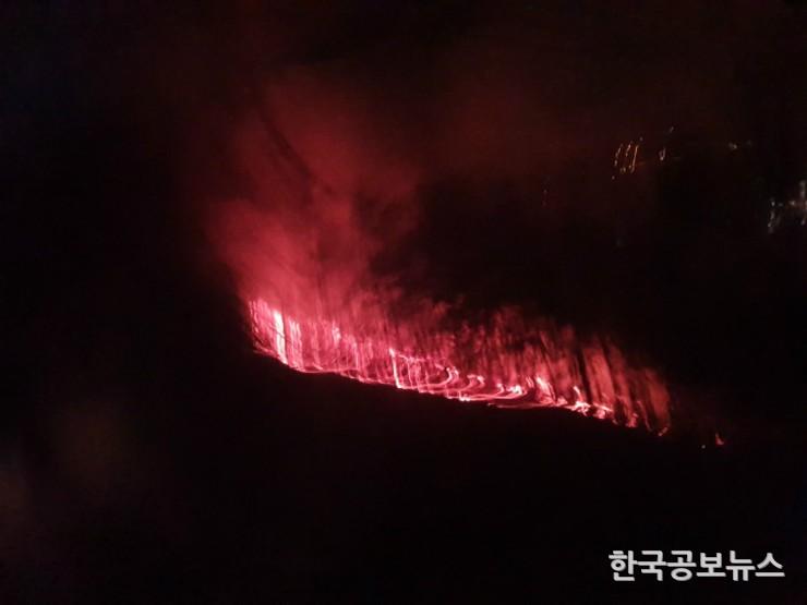 기사이미지 https://kpnnews.edge.naverncp.com/202404220427301713770850524