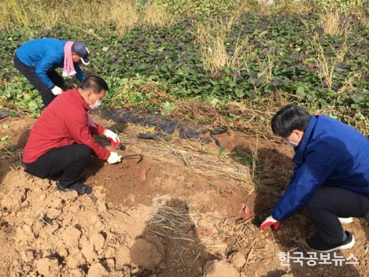 기사이미지 https://kpnnews.edge.naverncp.com/202405080336001715106960713