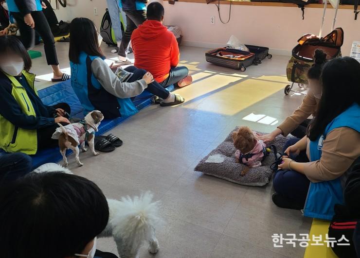 기사이미지 https://kpnnews.edge.naverncp.com/202405161015201715865320817