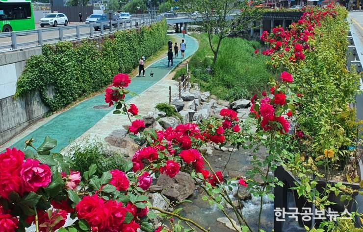 기사이미지 https://kpnnews.edge.naverncp.com/202405210423001716276180793