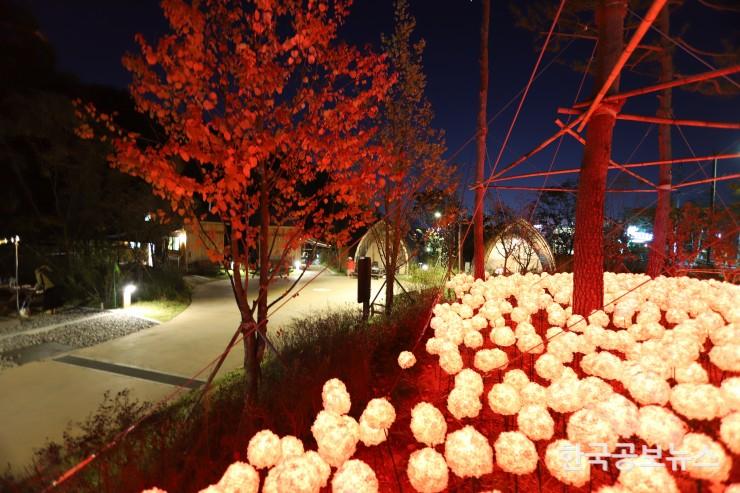 기사이미지 https://kpnnews.edge.naverncp.com/202405290554231716972863961
