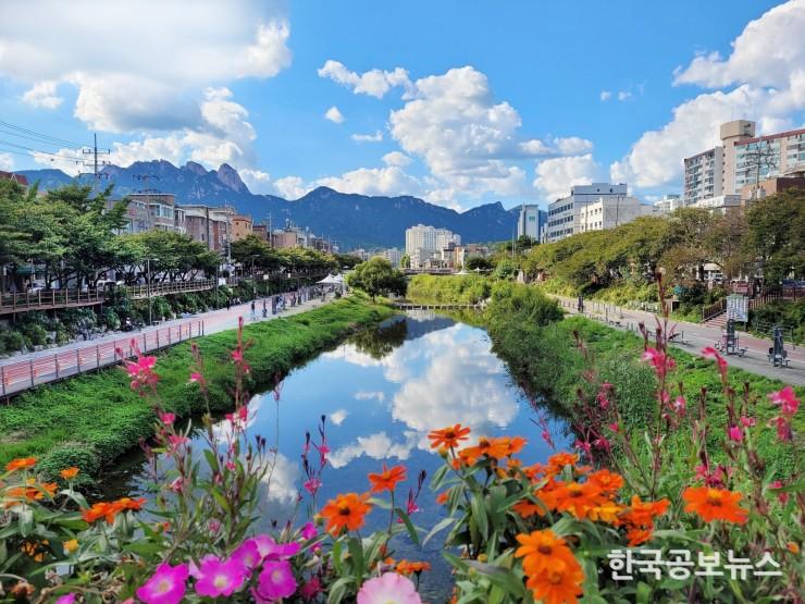 기사이미지 https://kpnnews.edge.naverncp.com/202405310719001717107540523