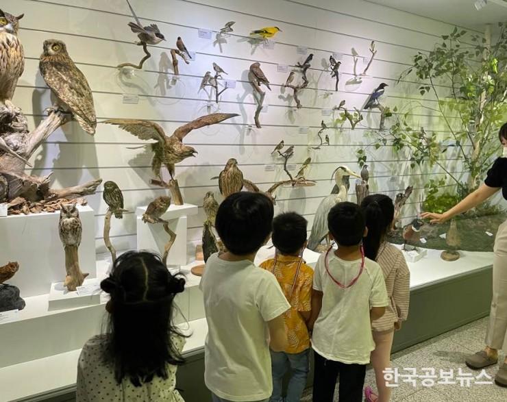 기사이미지 https://kpnnews.edge.naverncp.com/202406041145201717512320678