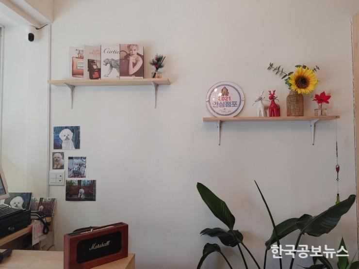 기사이미지 https://kpnnews.edge.naverncp.com/202406090905401717934740811