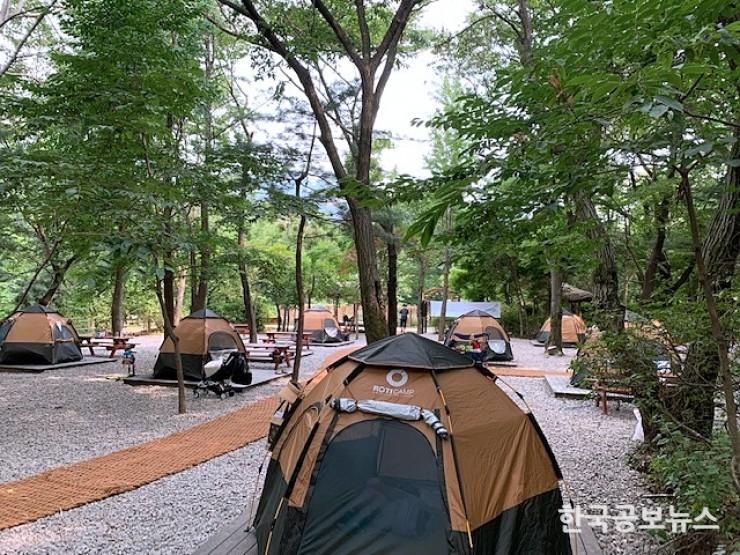 기사이미지 https://kpnnews.edge.naverncp.com/202406100450201717962620819