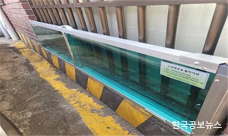 기사이미지 https://kpnnews.edge.naverncp.com/202406111152301718074350665