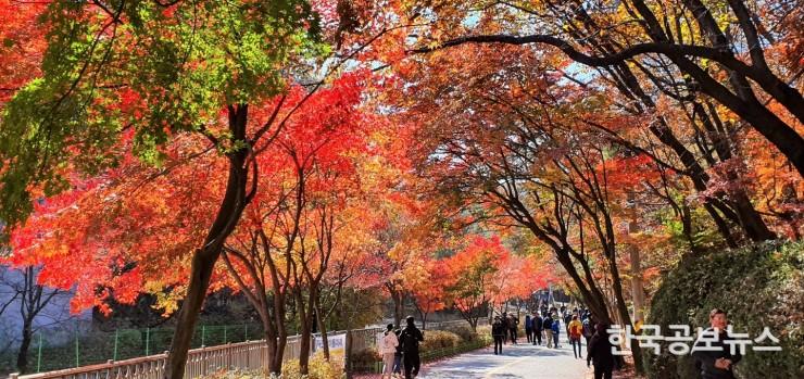 기사이미지 https://kpnnews.edge.naverncp.com/202406170218451718601525530