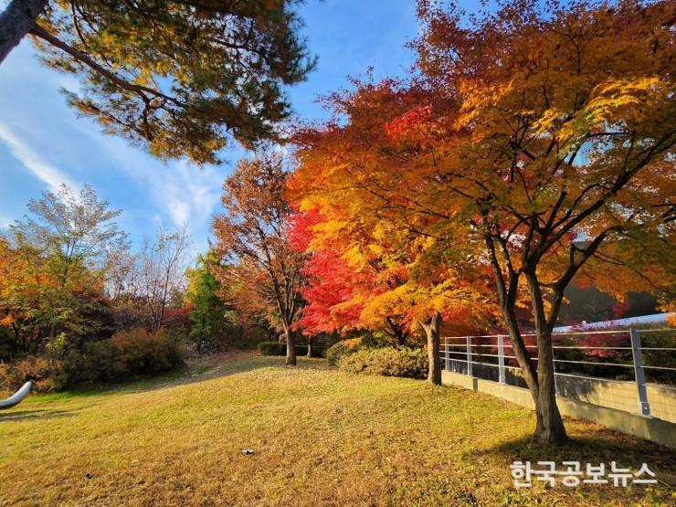 기사이미지 https://kpnnews.edge.naverncp.com/202406170218451718601525709