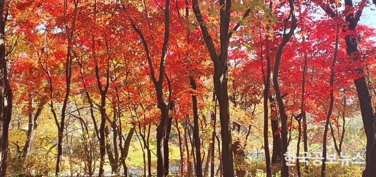 기사이미지 https://kpnnews.edge.naverncp.com/202406170218451718601525975