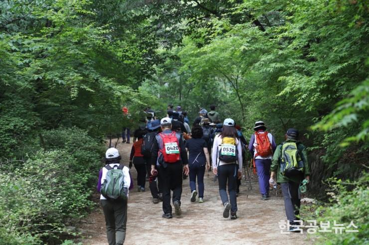 기사이미지 https://kpnnews.edge.naverncp.com/202406210141001718944860647