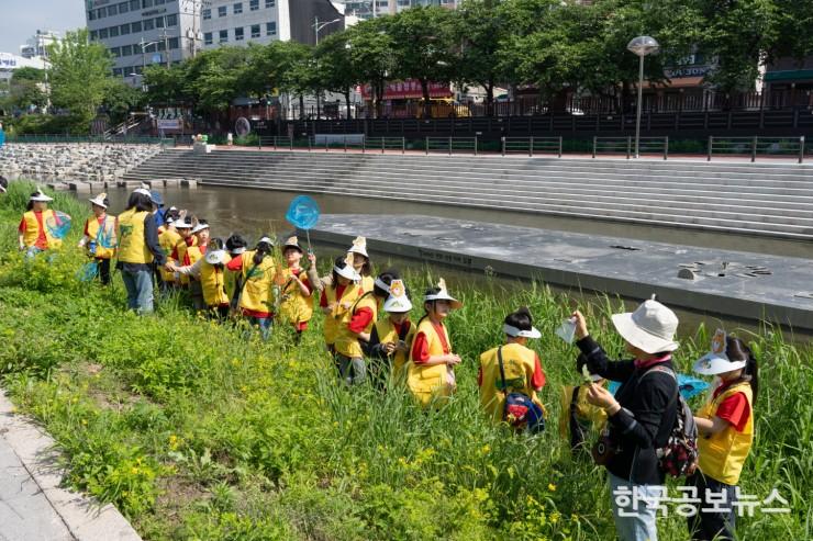 기사이미지 https://kpnnews.edge.naverncp.com/202406251245181719287118607