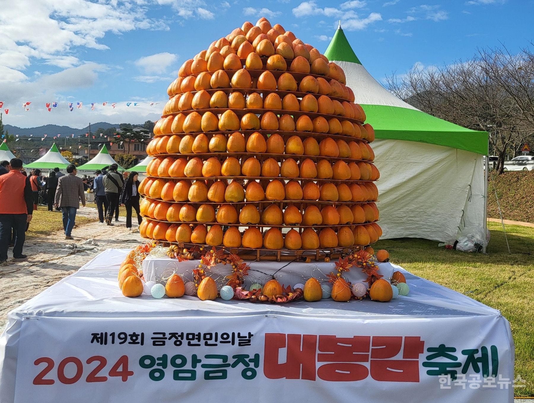 영암 금정,  주홍빛 대봉감 축제를 맛나게 물들이다. 기사 사진