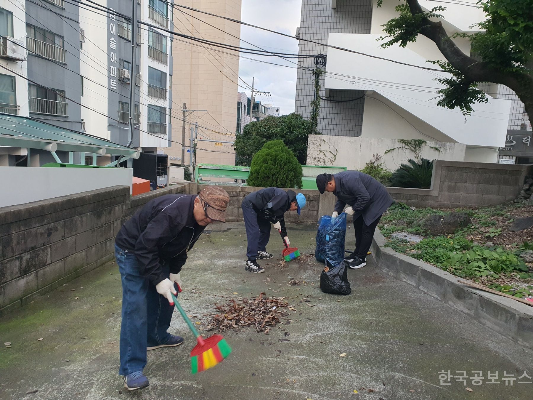 기사 사진