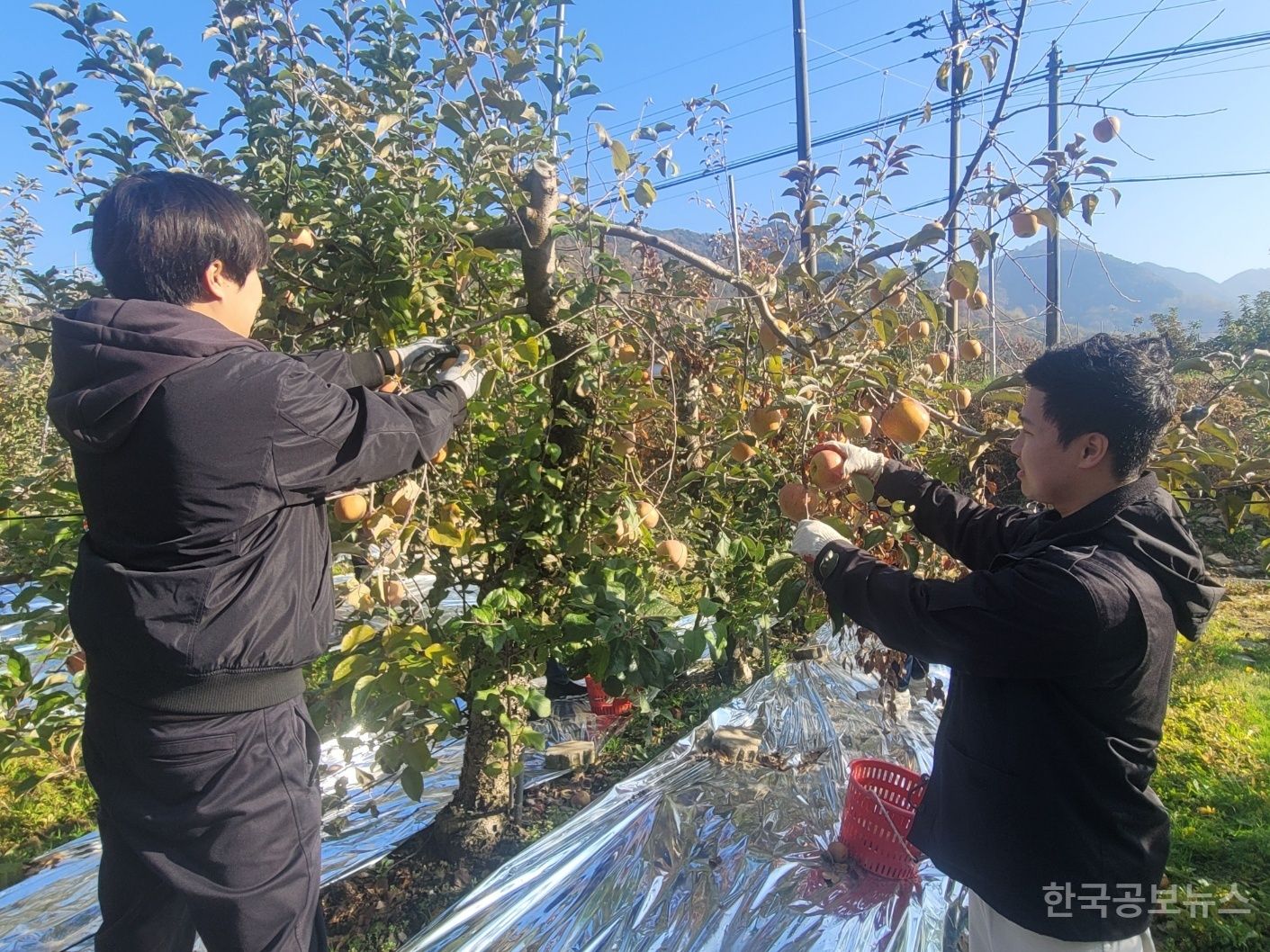 기사 사진