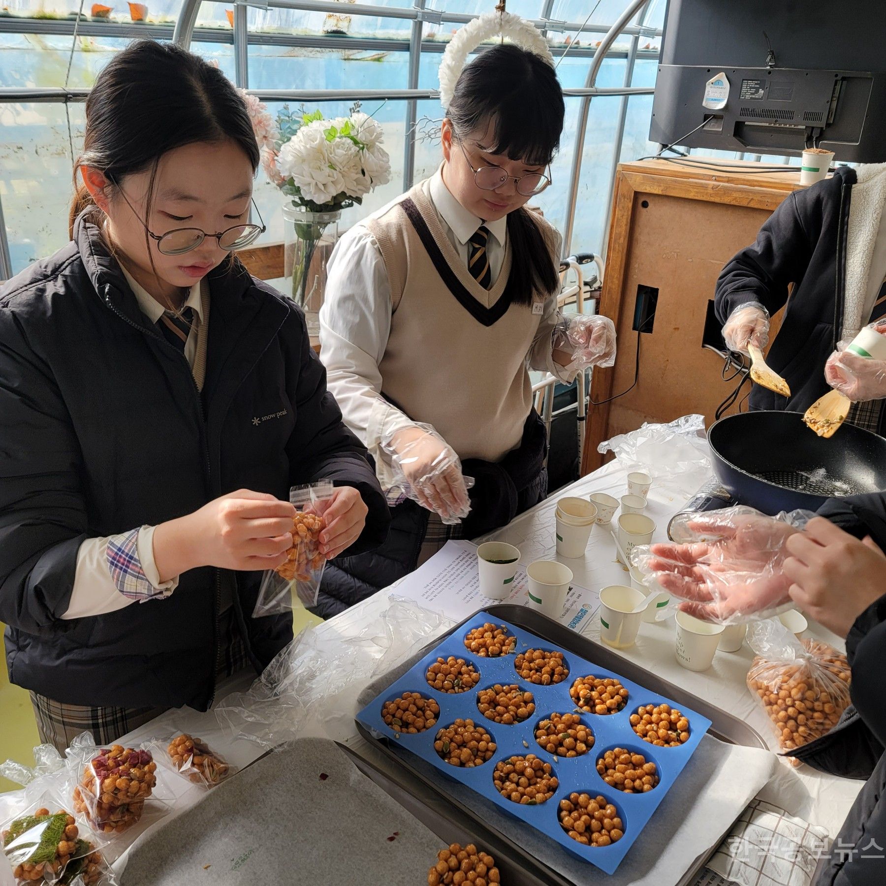 기사 사진