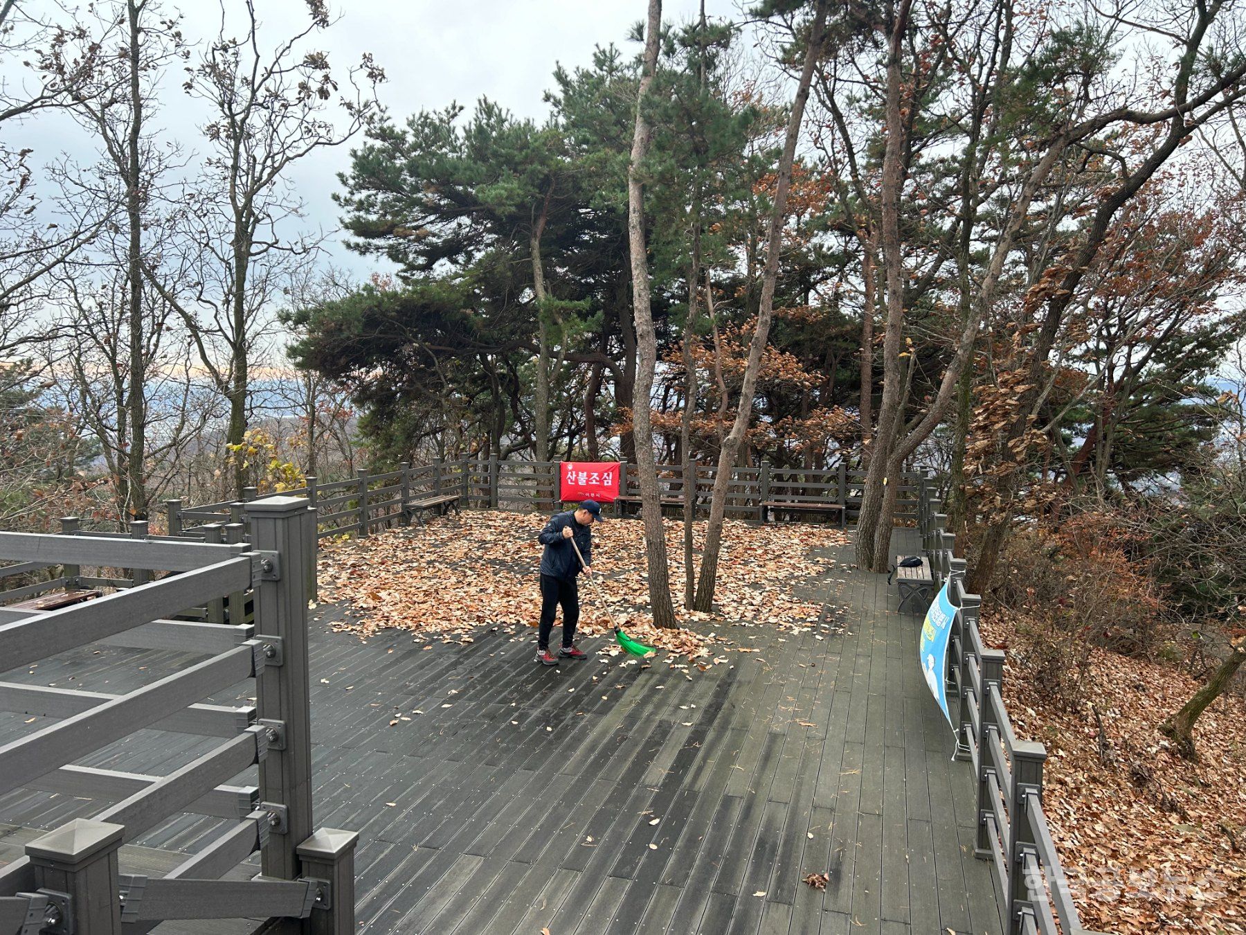 이천시 설봉산, 시민 참여로 아름답게 가꿔지다 기사 사진