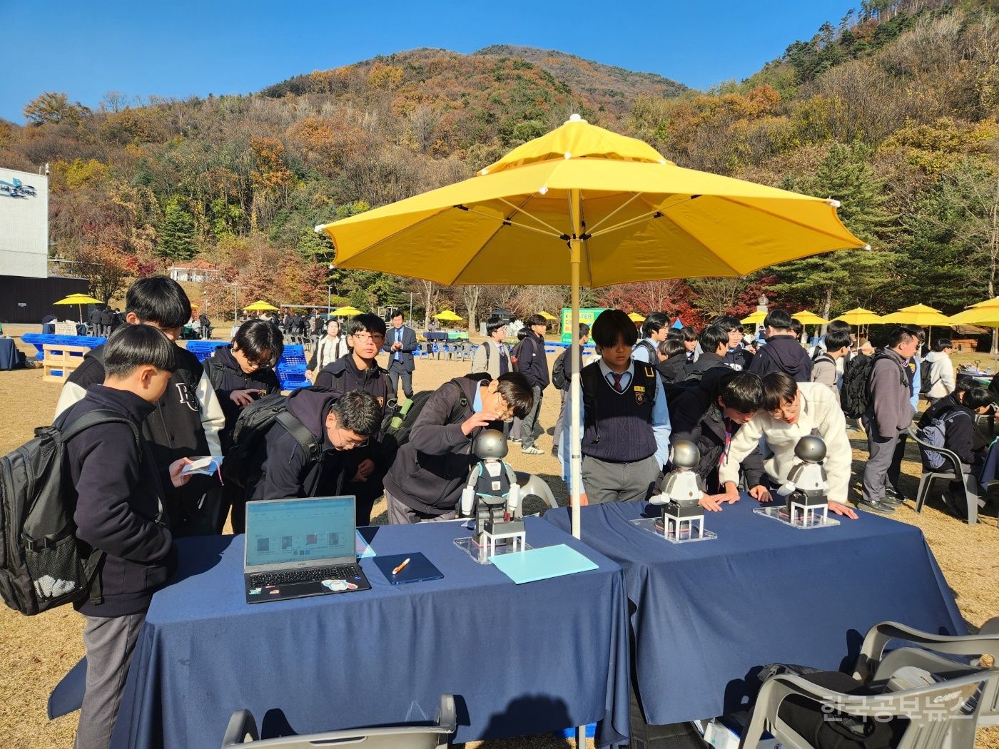 기사 사진
