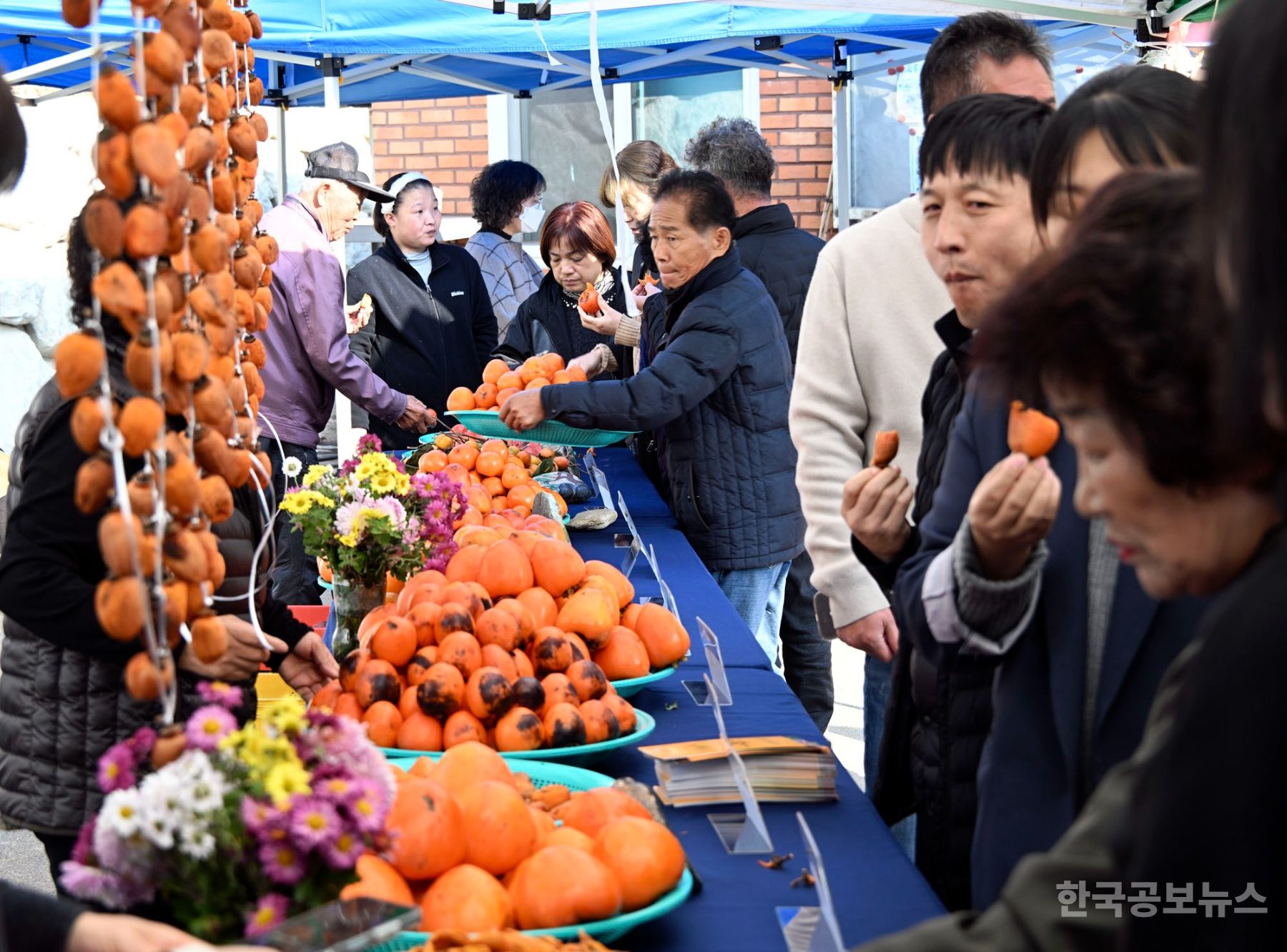 장수군, ‘제1회 먹감나무 축제’ 개최 기사 사진