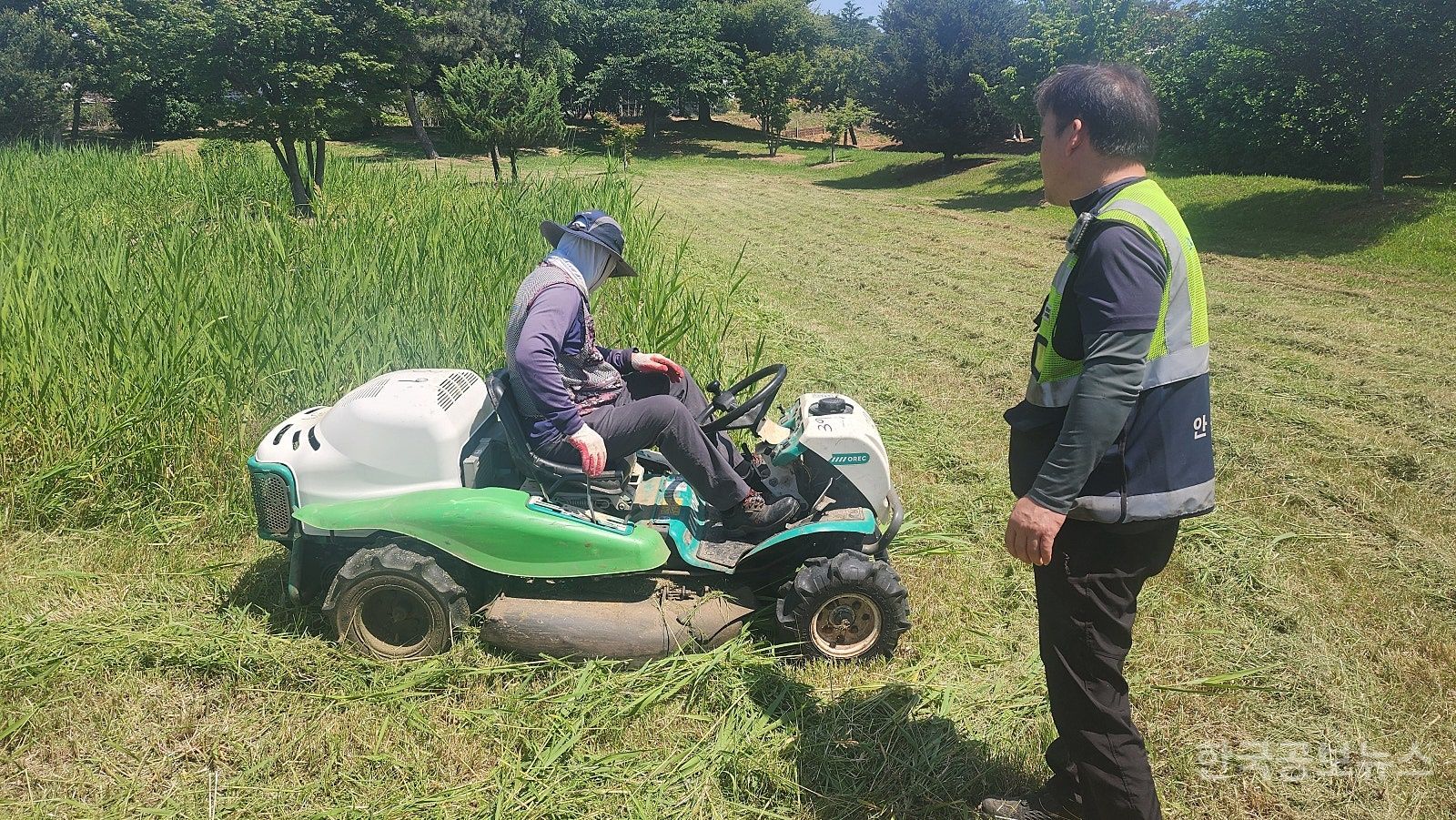 기사 사진