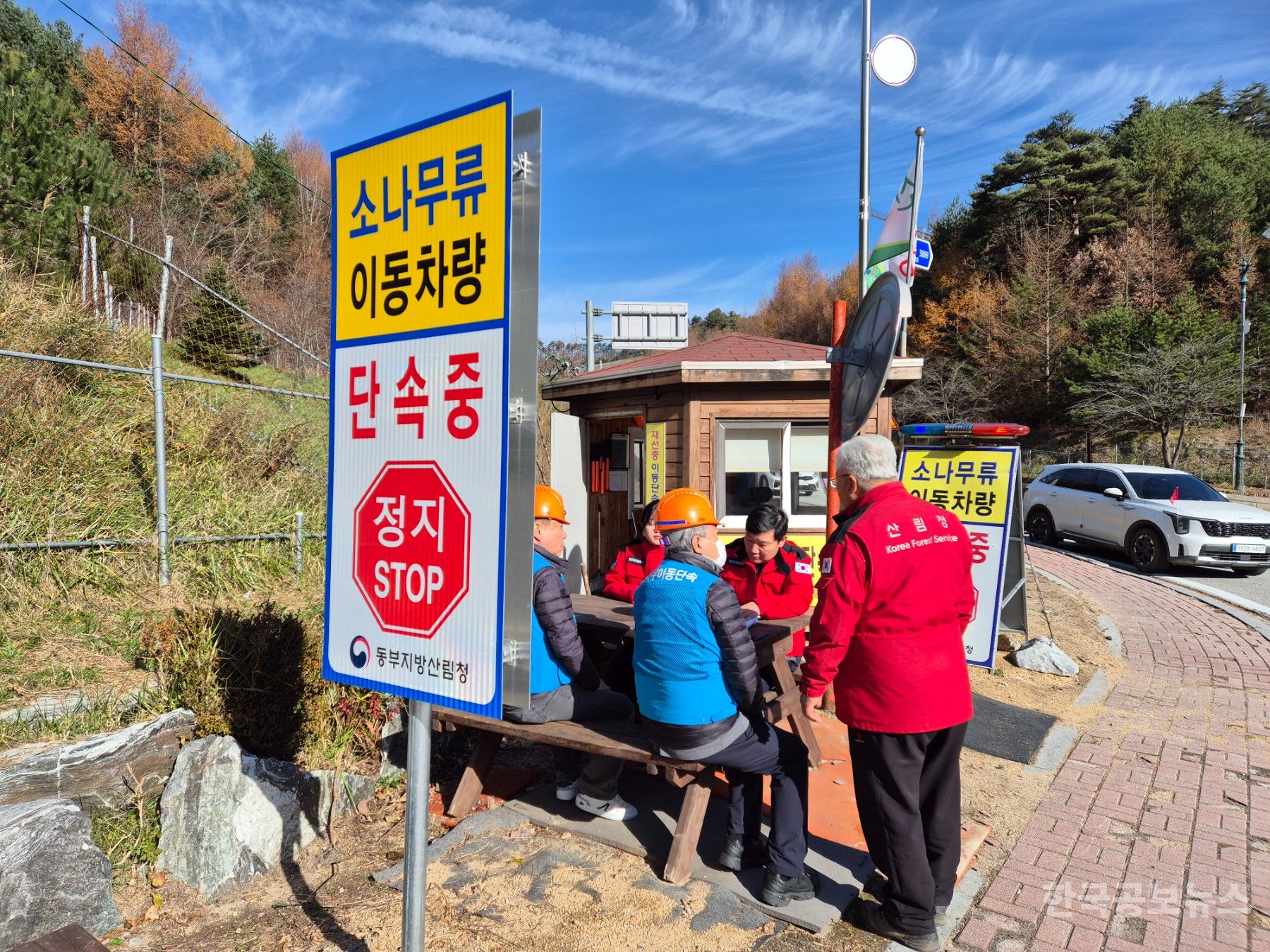 정선군, 소나무재선충병 확산 방지 위한 강력 단속 돌입  기사 사진