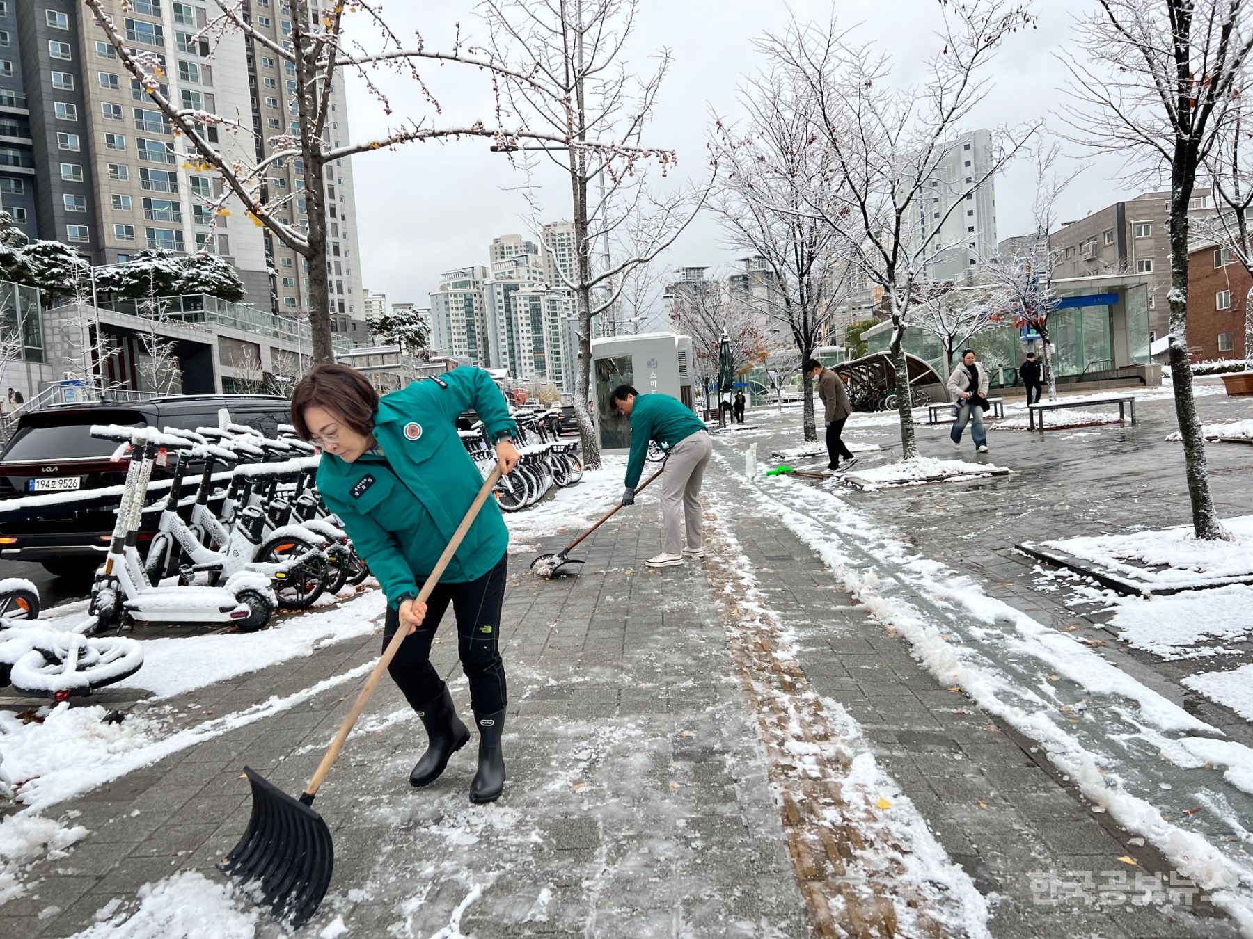 기사 사진