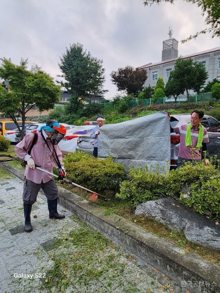 기사 사진