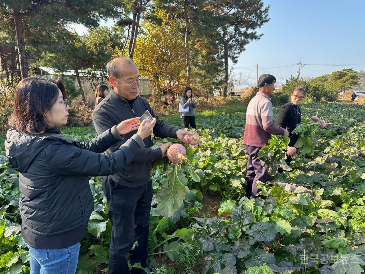 기사 사진