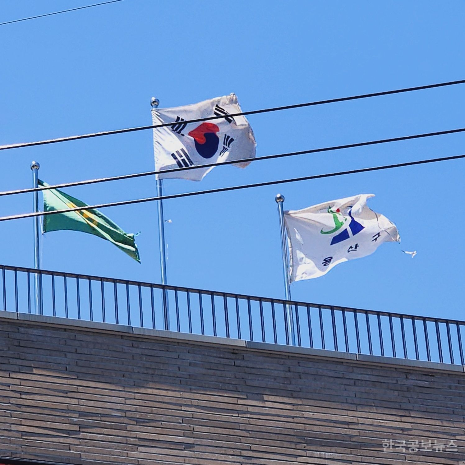 용산구, 얼마나 더 썩어야 하나… 동장의 노인회 사무국장 임명 논란 기사 사진