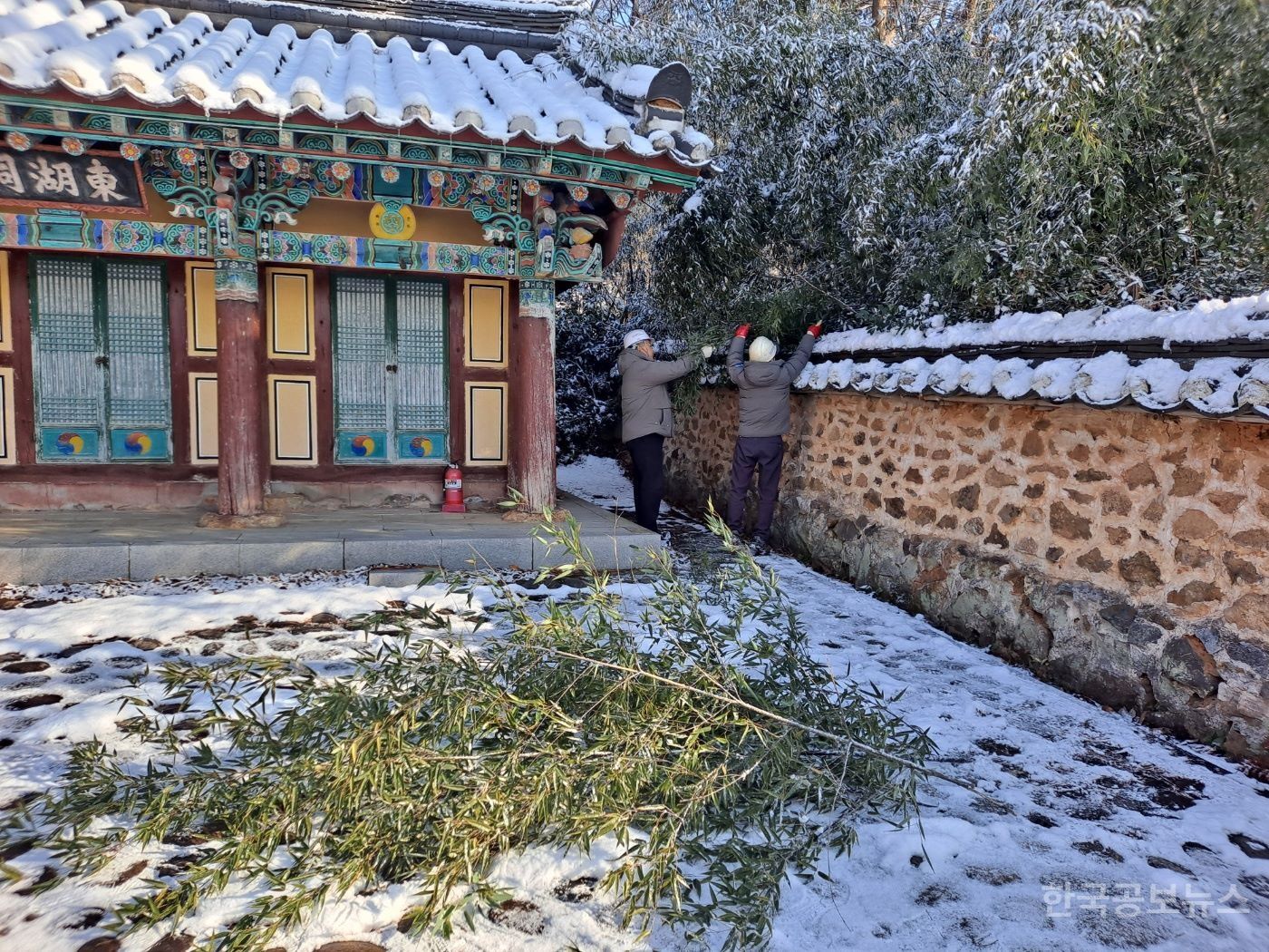 기사 사진