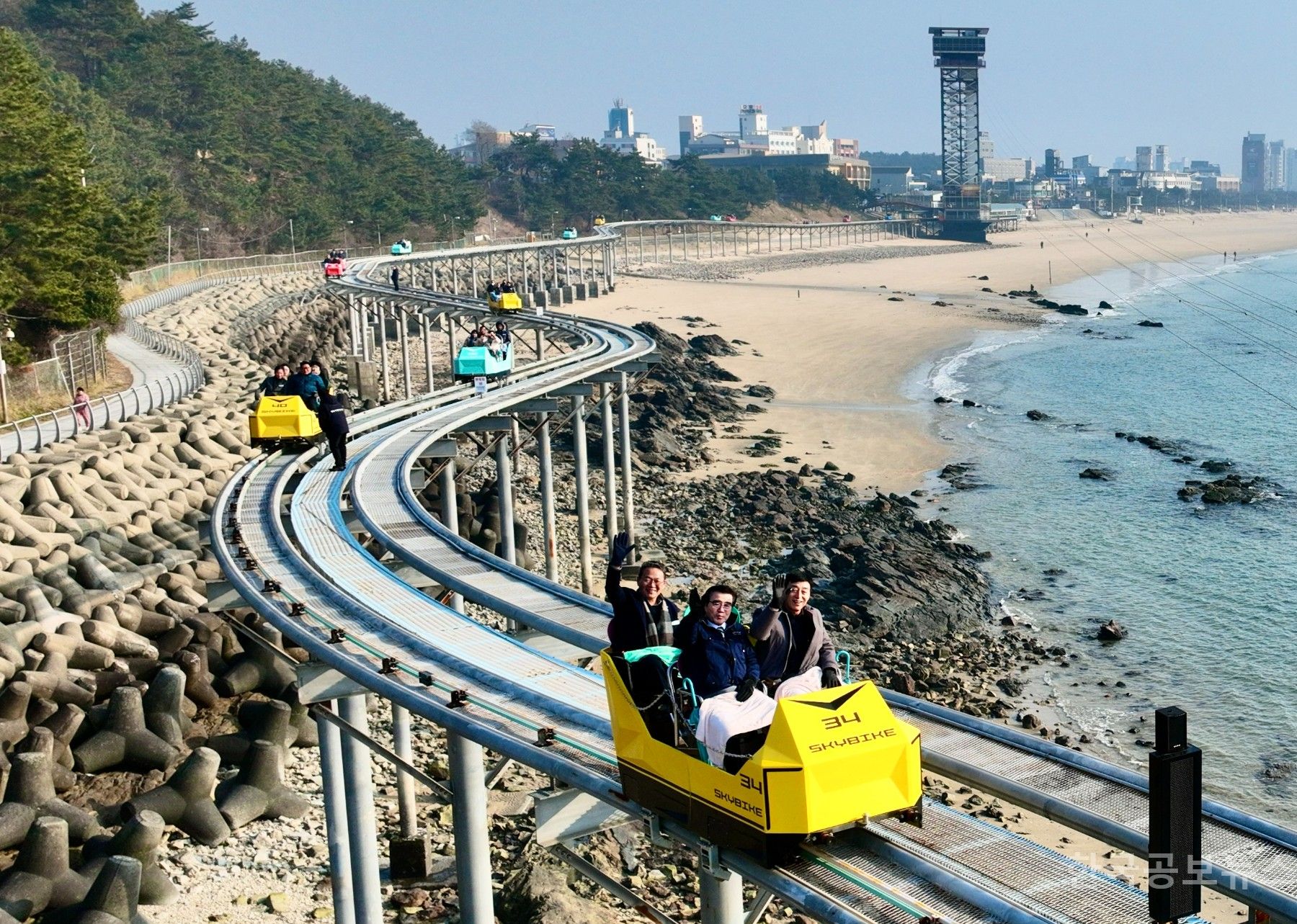 기사 사진