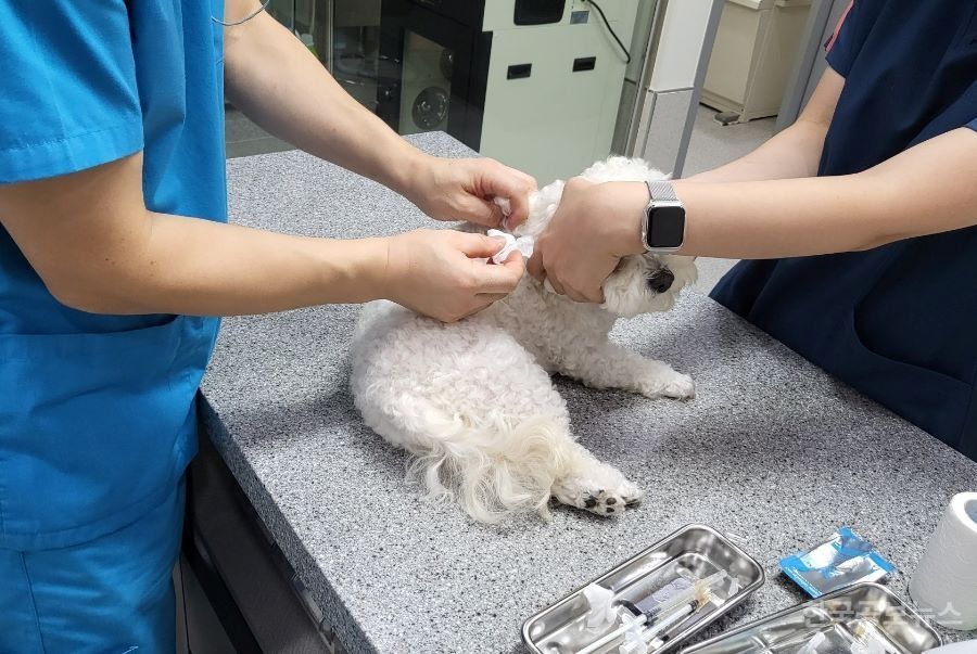 기사 사진