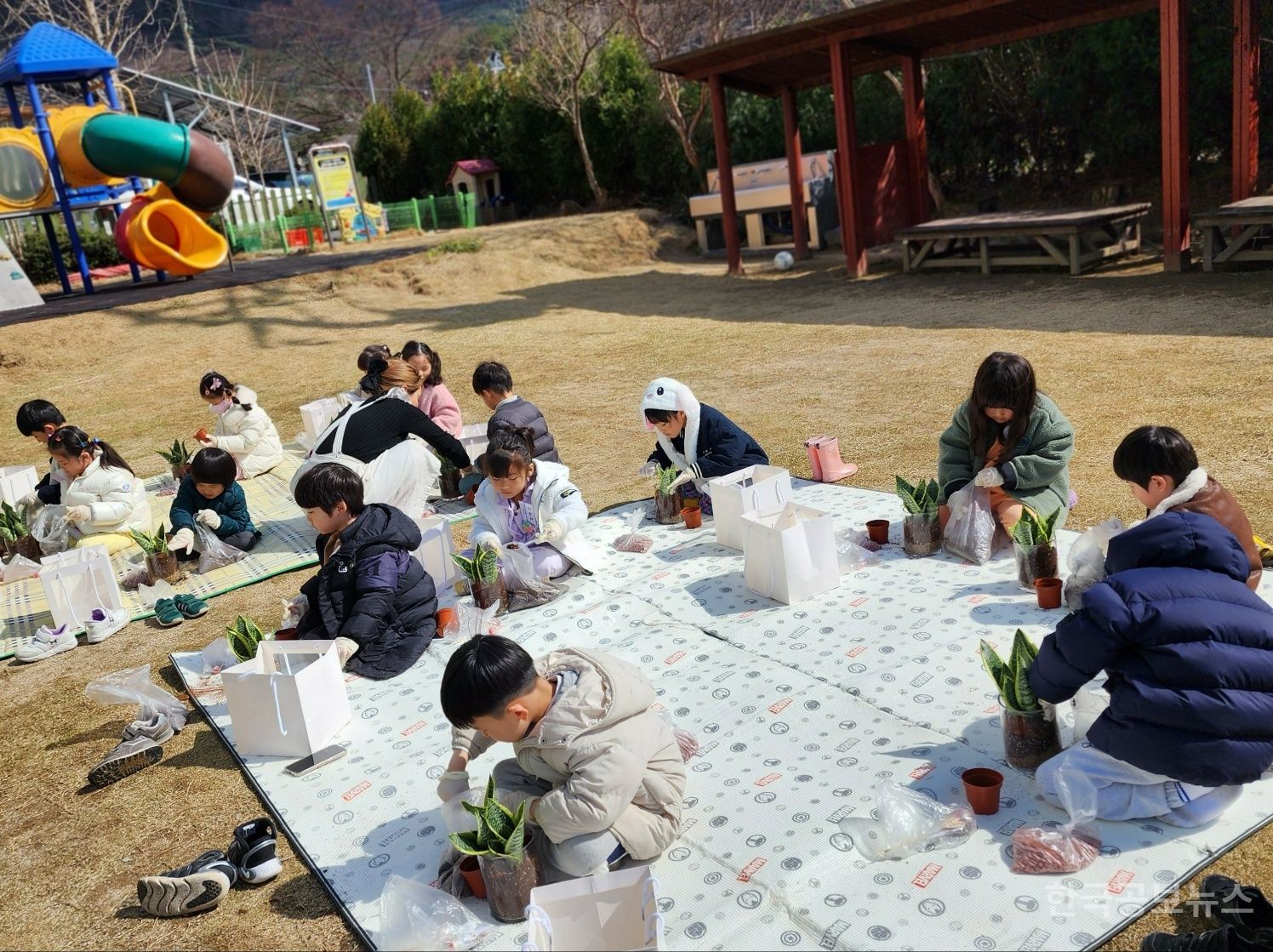 기사 사진