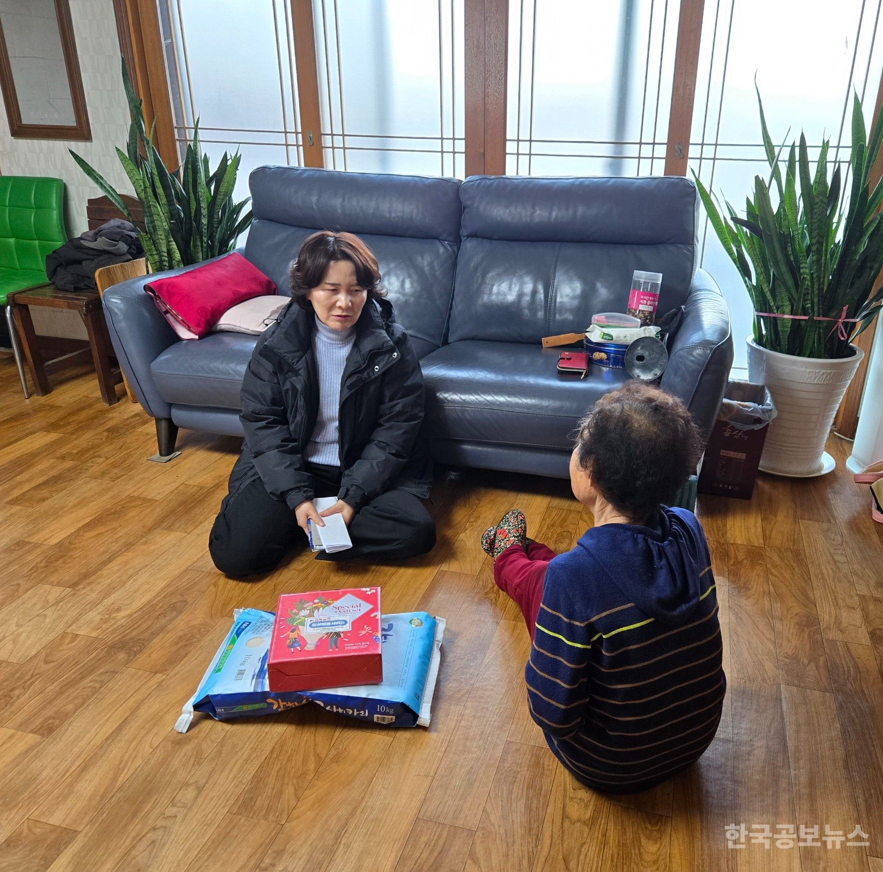 기사 사진