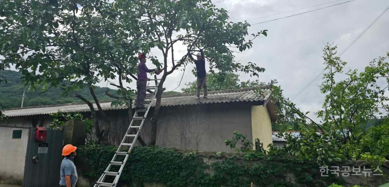 기사 사진