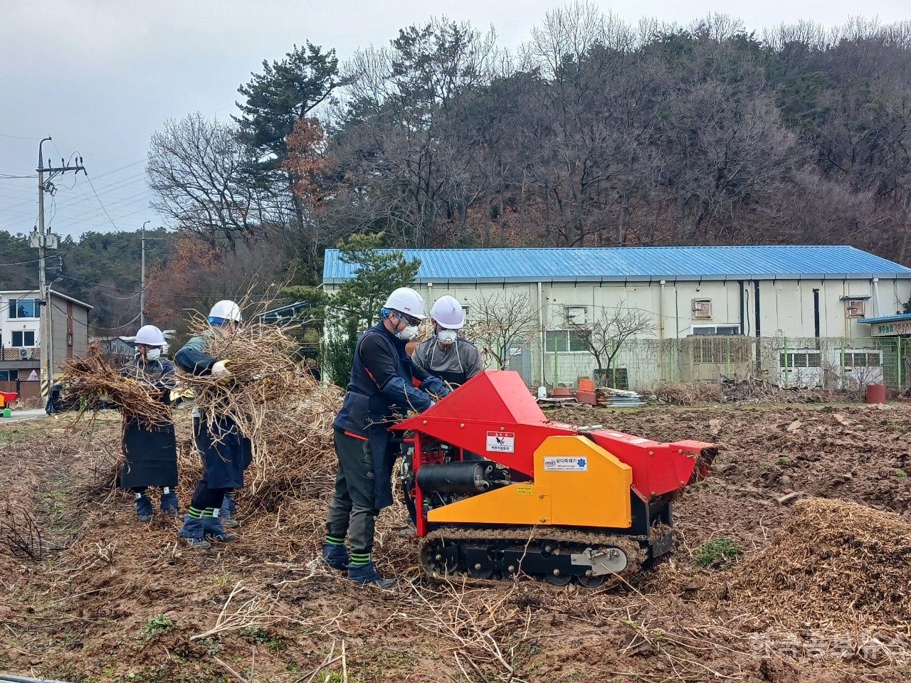 기사 사진