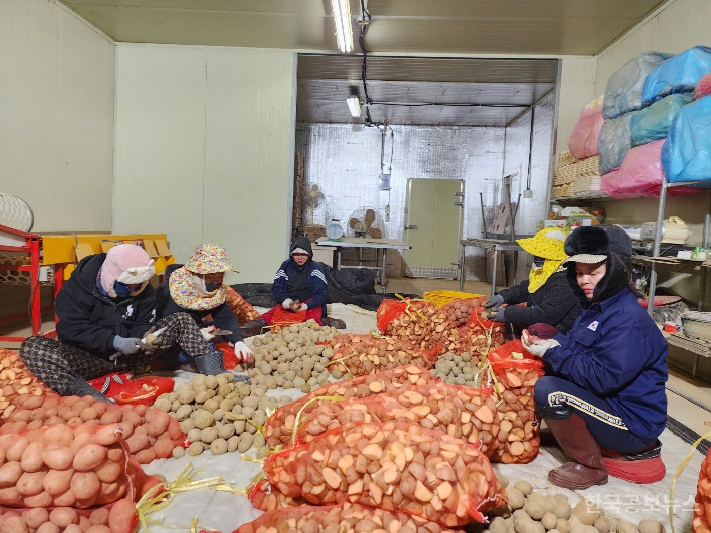 기사 사진