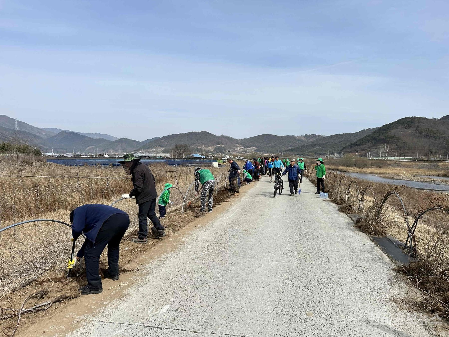 기사 사진