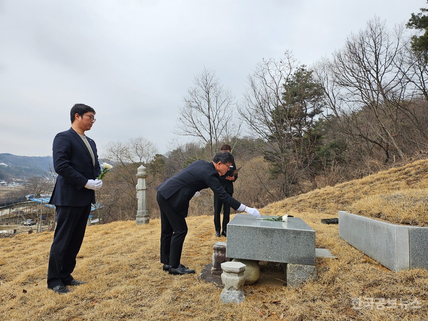 기사 사진