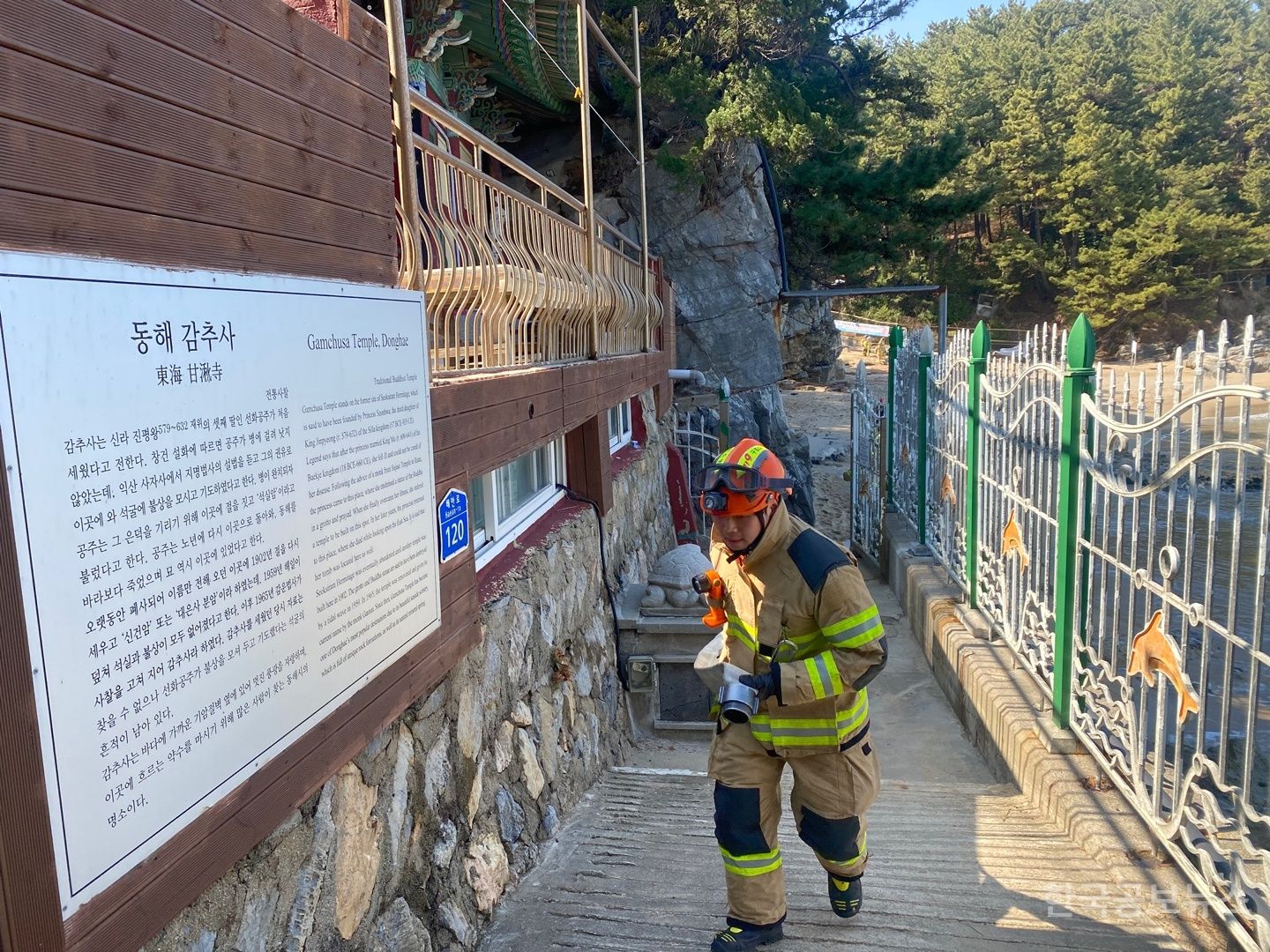 기사 사진