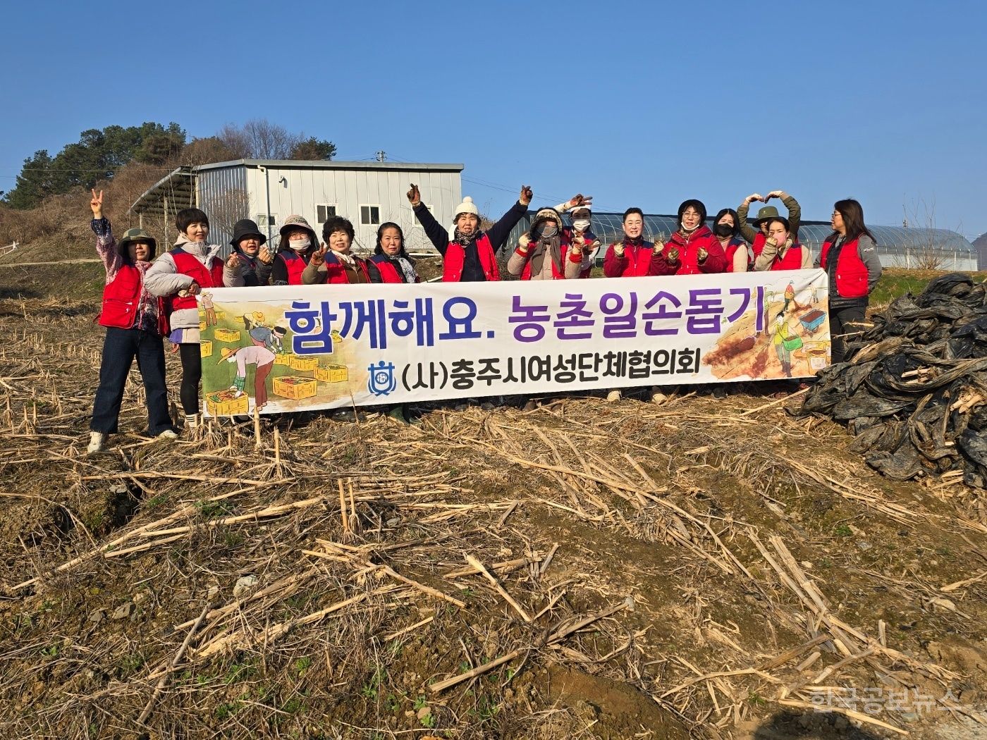 기사 사진