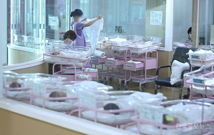 1월 출생아 2.4만명으로 7개월째↑...1월 혼인 건수 0.7% 증가  기사 사진