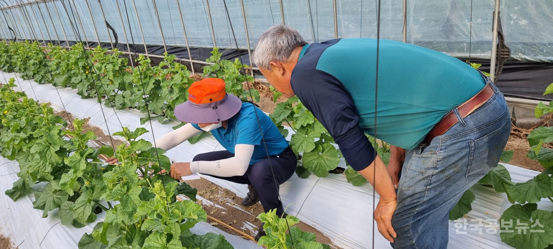 기사 사진