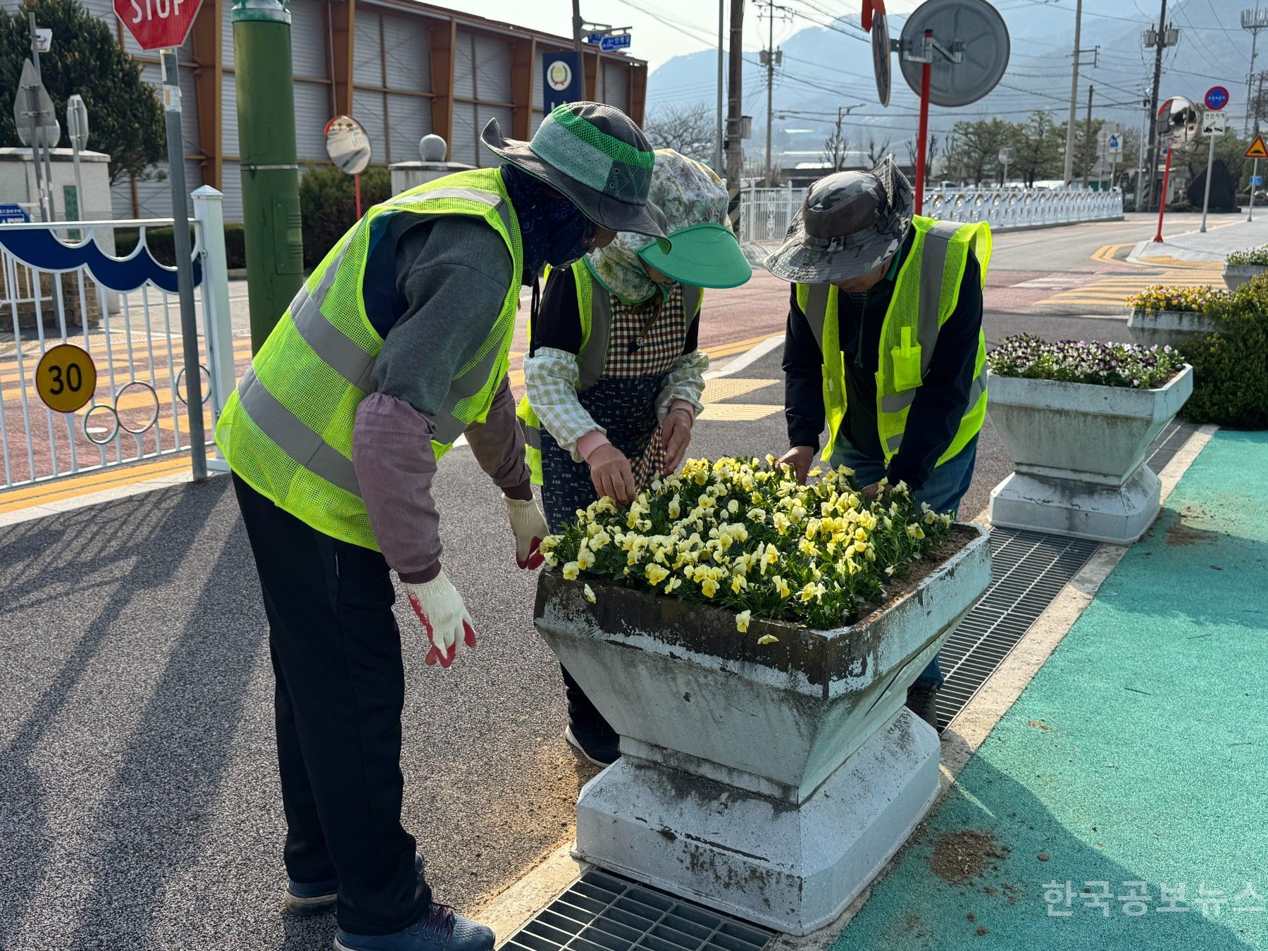기사 사진